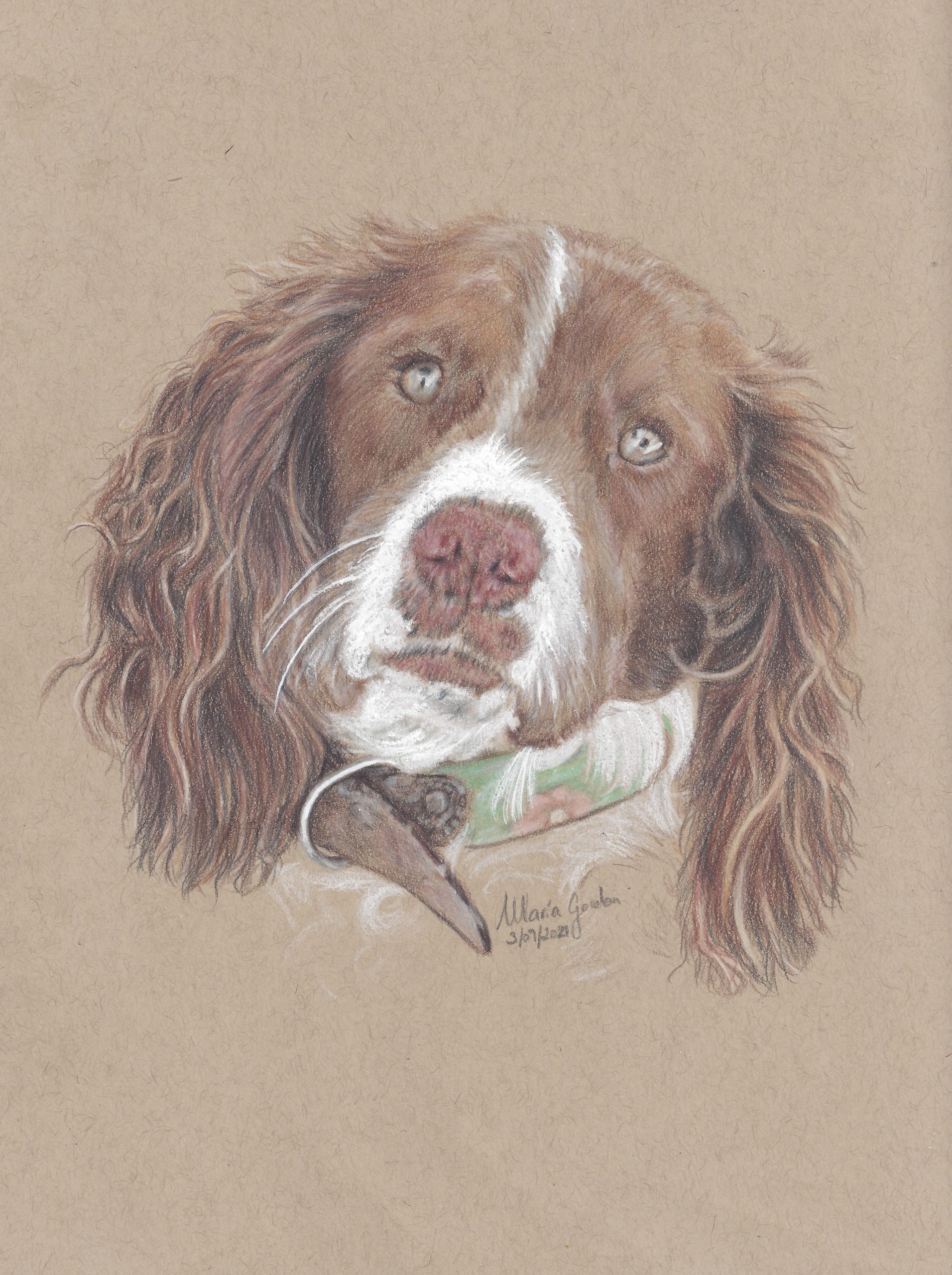 Dibujo tu Mascota a Color Pastel - URGENTE - Imagen 9