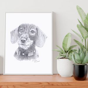 Dibujo tu mascota, Retrato a lápiz A5