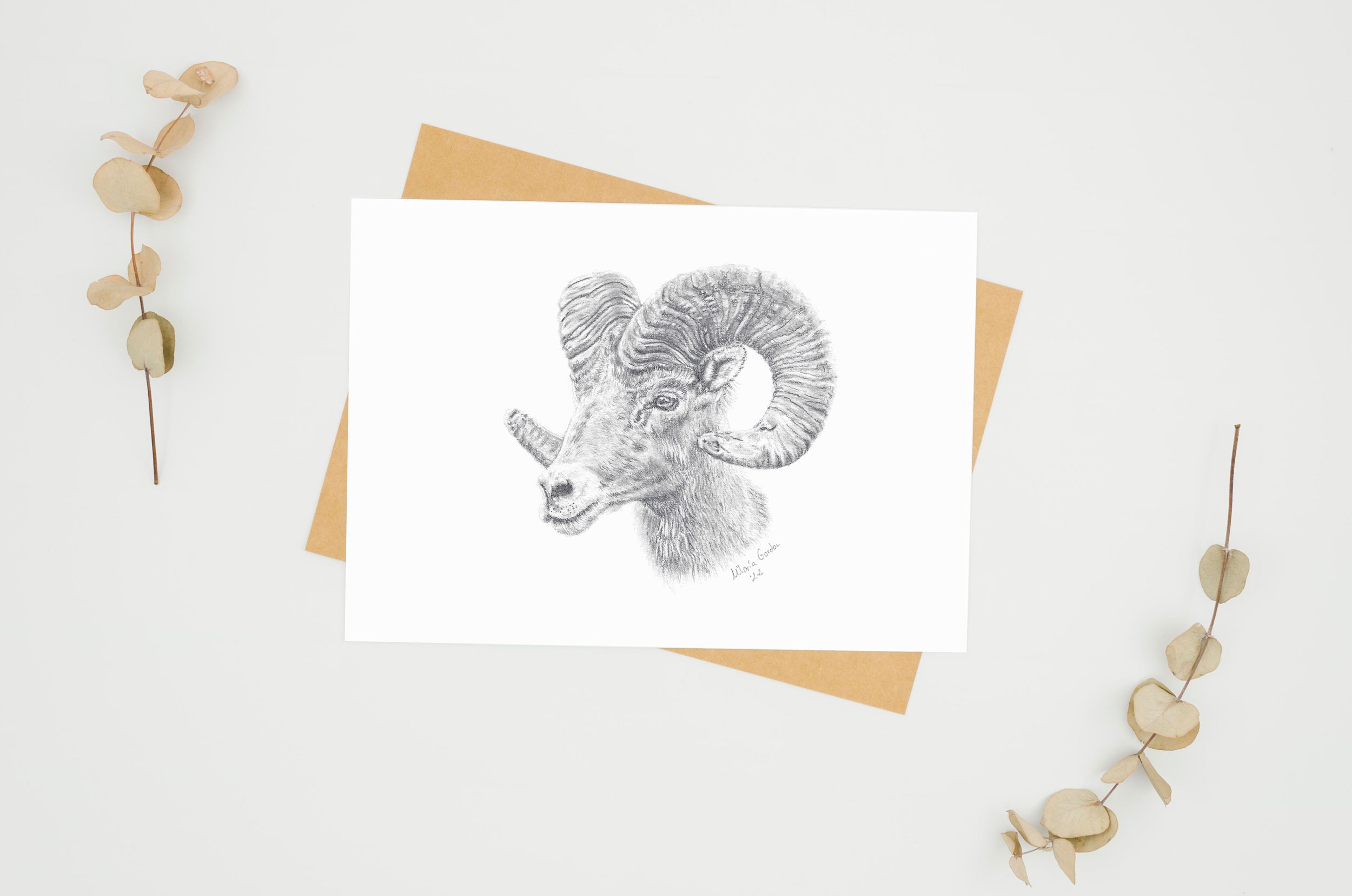 Reproducción Muflón Fine Art DESCARGA INSTANTANEA - Imagen 2