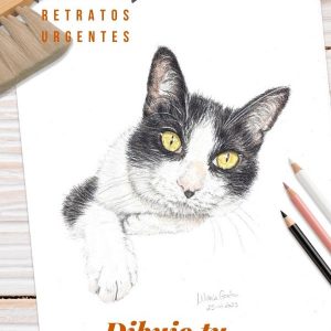 Dibujo tu mascota Retrato a colores pastel - PRIORITY