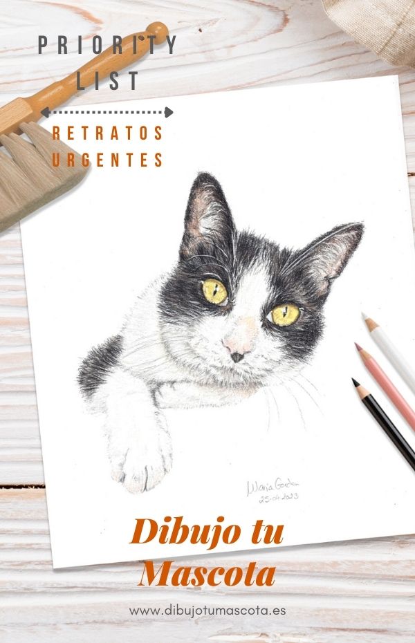 Dibujo tu mascota Retrato a colores pastel - PRIORITY