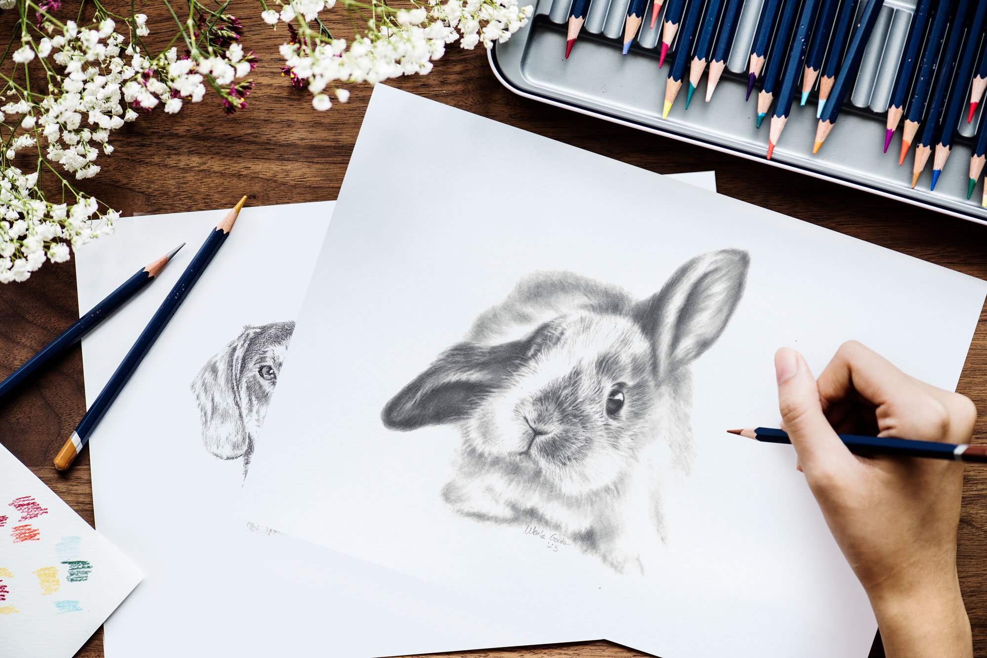 Retrato de mascotas personalizado_Conejo