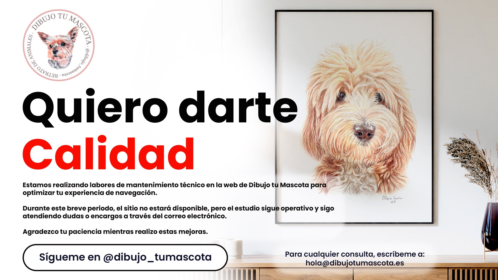 Mantenimiento_Dibujo tu Mascota Mantenimiento_Dibujo tu Mascota